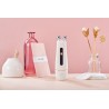 L&L Skin — VIA Aппарат для Yкрепления и Oмоложения кожи 3в1
